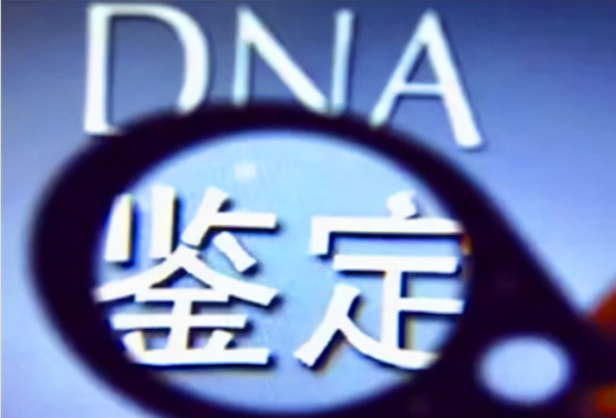 泸州怎么样私下做亲子鉴定,泸州亲子鉴定办理的流程
