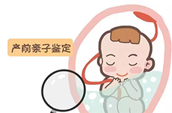 泸州孕期亲子鉴定大概多少钱，泸州怀孕亲子鉴定要如何办理