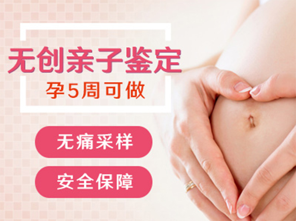 泸州孕期亲子鉴定费用是多少,