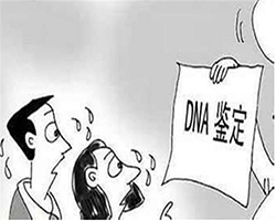 泸州孕期亲子鉴定费用是多少（专家咨询）
